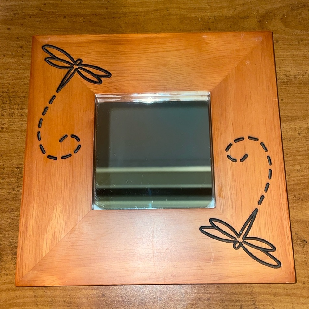 Small Dragonfly Mirror